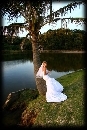 wedding porfolio