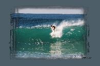 general gallery surfing