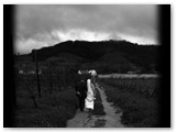 wedding007