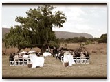 wedding009
