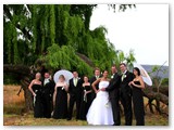 wedding042