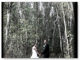 wedding050