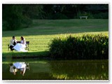 wedding061